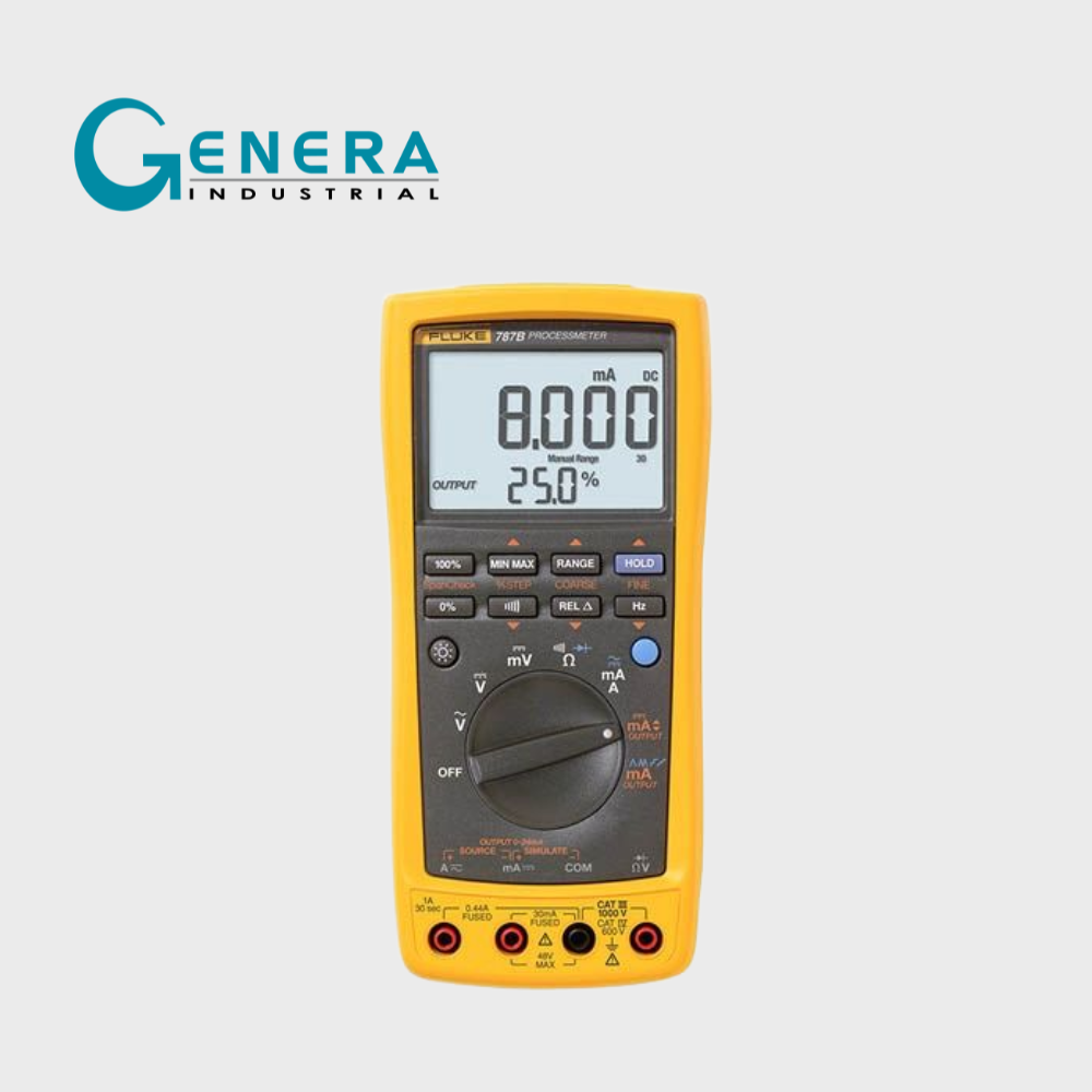 PROCESÍMETRO | FLUKE 787B